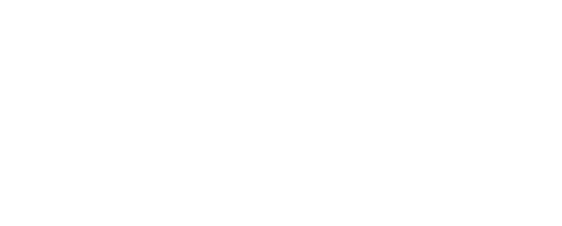logo-odox2